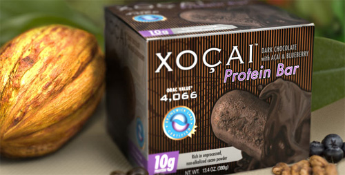 Xocai Protein Bar